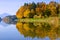 Autumn Reflection