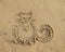 Cat on wet sand