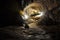 Cave