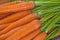 Ecologically Clean Carrots