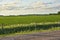 Fence Line
