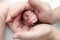 Hands of the baby