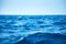 Sea waves