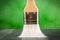 Paint brush