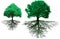 Stock Image : Trees with roots