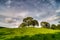 Stock Image : Trees on top of hill