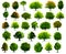 Stock Image : Vector trees