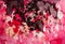 Abstract red drip painting