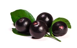 acai berry ingredients