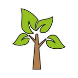 与例证v例证的树叶子绘制皇族如何释放周线k线图片