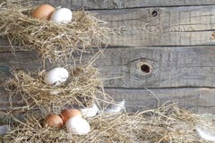 easter organic eggs on vintage boards in chicken coop Stock Photo