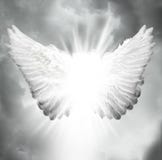 http://thumbs.dreamstime.com/t/angel-wings-20726115.jpg