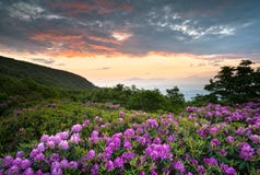 Blue Ridge Parkway Mountains Sunset Spring Flowers Stock Photography