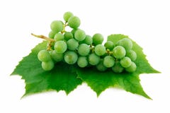 Bunch Of Ripe Green Grapes Royalty Free Sto