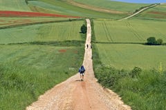 Camino Frances hiking pilgrims in rural landscape Royalty Free Stock Photo