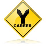 charting your career path choices challenges charting your career path choices challenges
