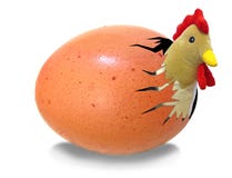 Chicken hatching from egg Royalty Free Stock Images