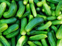 Cucumbers Royalty Free Stock Images