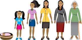 Female Human Body Scheme Of Different Ages Stages. Stock Images - Image