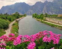 Flowers, river and mountains Stock Photography