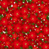 Pasteboard - Glitter Pasteboard - Glitter