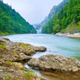 The gorge of mountain river in the morning Stock Image