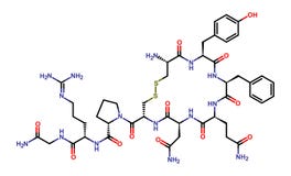 Agree, the Oxytocin vasopressin orgasm that Oxytocin vasopressin orgasm seems