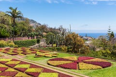 Madeira, Jardim Do Oceano [1931]