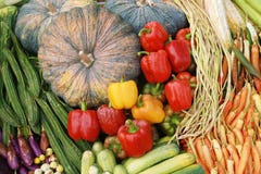 Many kinds of vegetables Royalty Free Stock Photography