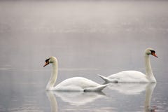 Parting Ways Royalty Free Stock Images