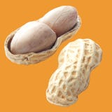 Peanut Royalty Free Stock Photo