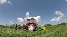 Tractors working in fields videos for cats