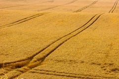 Rustic charm Royalty Free Stock Photography