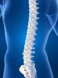 Esercizio da osteochondrosis