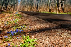 Spring  road Stock Photo