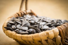 Sunflower seeds Stock Photography