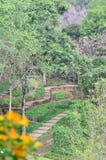 Walk ways in flowers garden Royalty Free Stock Images