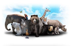 Zoo Animal Friends Stock Image