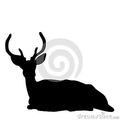 一只坐的鹿雄鹿的剪影在白色的