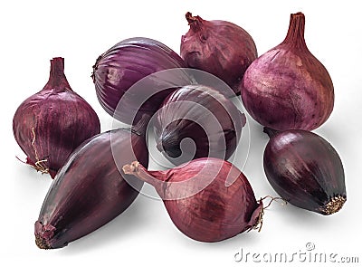 %D0%B8%D1%81%D0%BF%D0%B0%D0%BD%D1%81%D0%BA%D0%B8%D0%B9-%D1%83%D0%BA-33142411.jpg