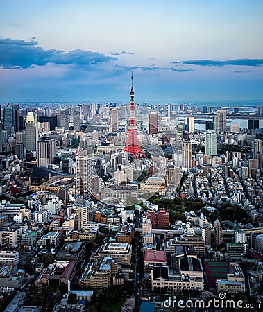 东京市视图 库存照片 - 图片: 41501244