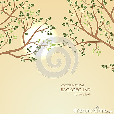 自然本底在背景树枝的日落.山西建筑设计研究院弓力强图片