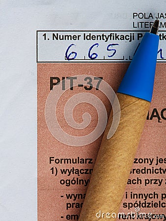 填装以波兰单独报税表PIT-37年2013年 库存照