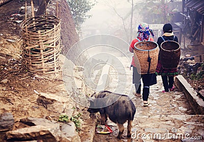 hmong妇女是在从他们的村庄的一途中到sapa,越南.图片