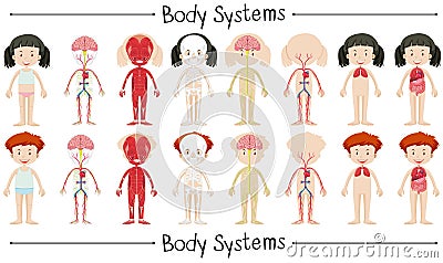 有去香港验血男孩女孩,生出来是准确的吗。我