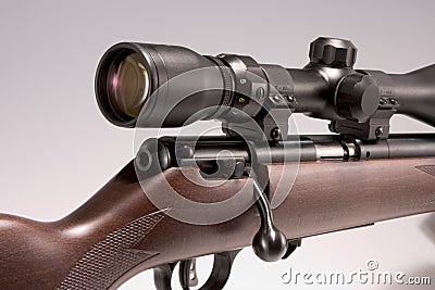 001 17 hmr rifle with scope