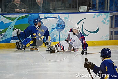 2010 Paralympic Winter Games