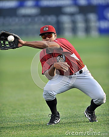 2012 Minor League Baseball action