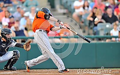 2012 Minor League Baseball batter swing