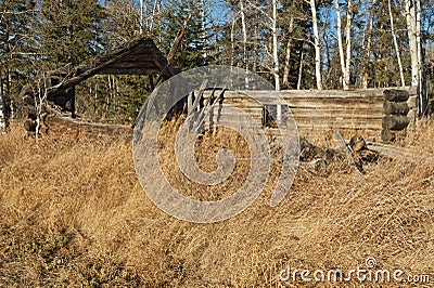 Abandoned old log barn in fall